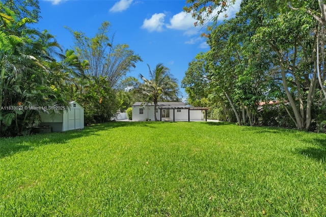 1003 NE 115th St, Biscayne Park, FL 33161 - view of green lawn with a shed