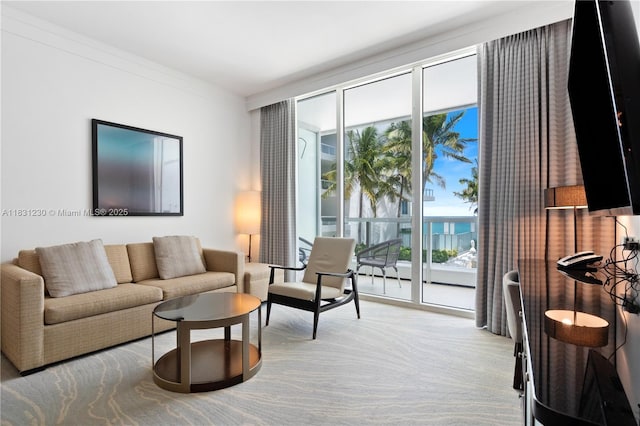 4391 Collins Ave Unit 623, Miami Beach, FL 33140 - living room with ornamental molding