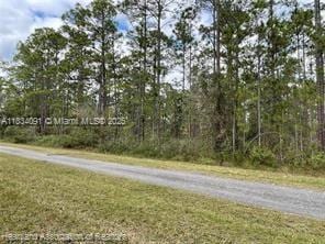 0 Oleander Dr, Lake Wales, FL 33898 - photo 5