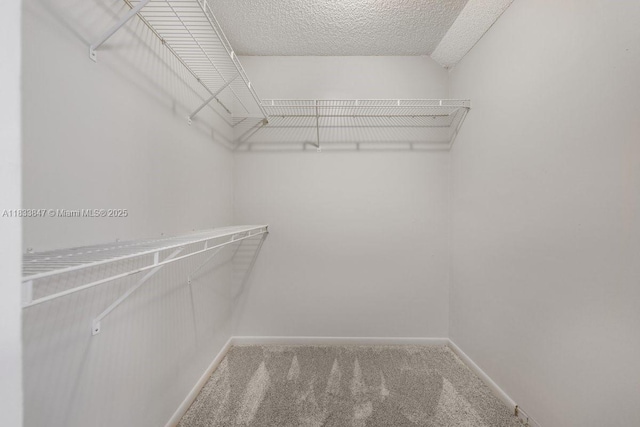 5366 214th Ct S, Boca Raton, FL 33486 - spacious closet with carpet floors