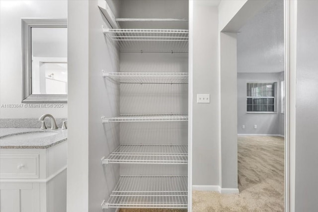 5366 214th Ct S, Boca Raton, FL 33486 - pantry featuring a sink