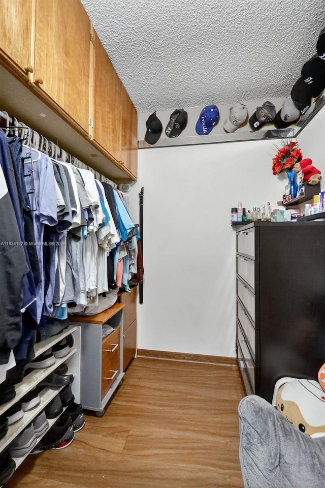 14355 SW 158th St, Miami, FL 33177 - walk in closet featuring light wood-style flooring