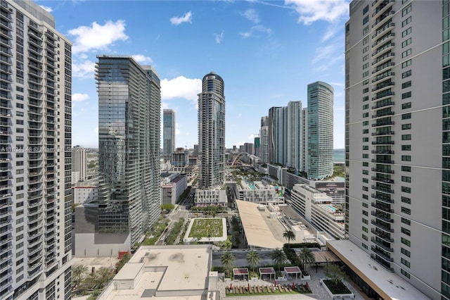 159 NE 6 Unit 2402, Miami, FL 33132 - photo 15