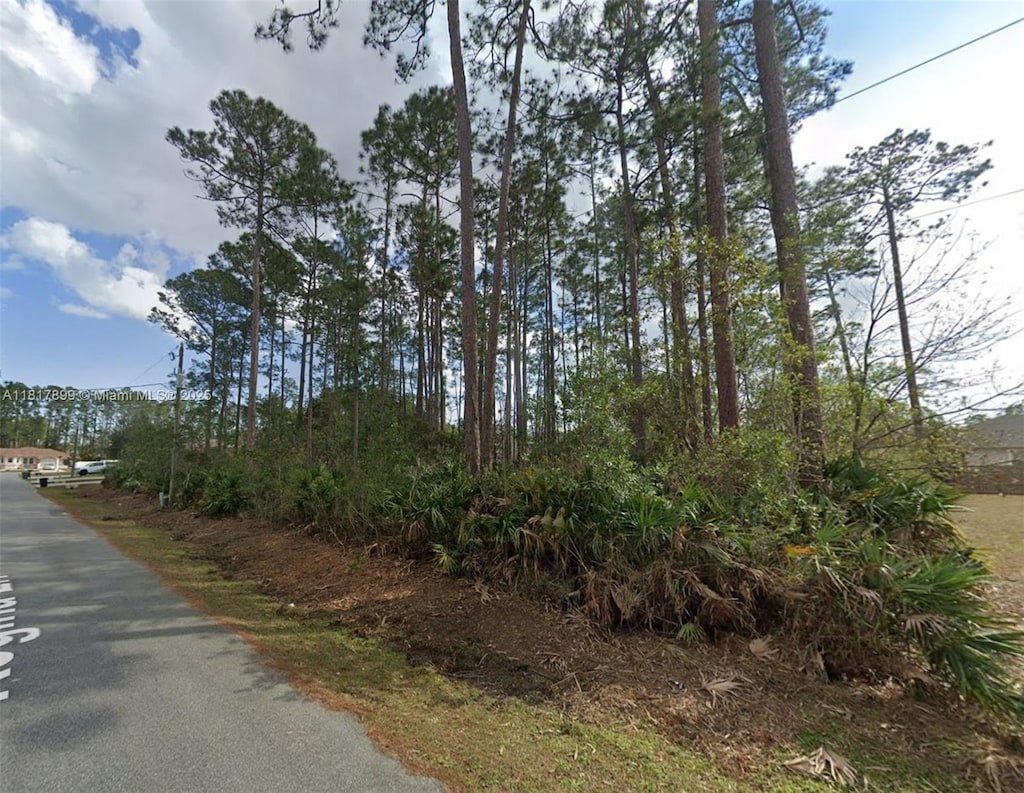 5 Regina Ln, Palm Coast, FL 32164 - photo 2