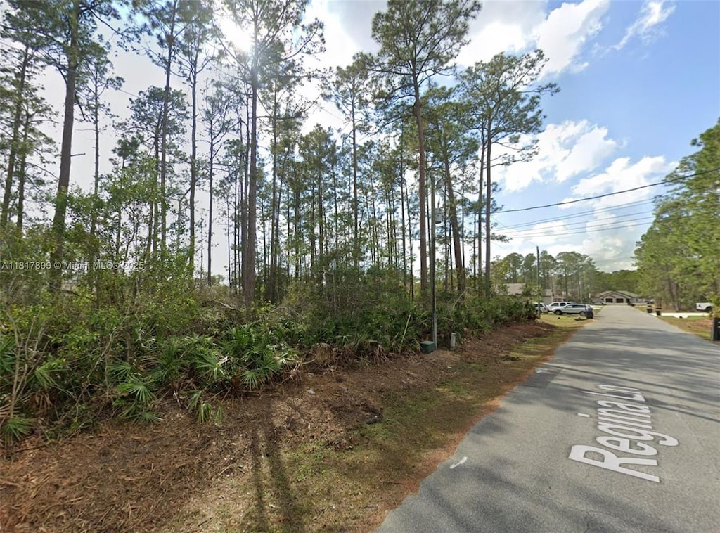 5 Regina Ln, Palm Coast, FL 32164 - photo 3