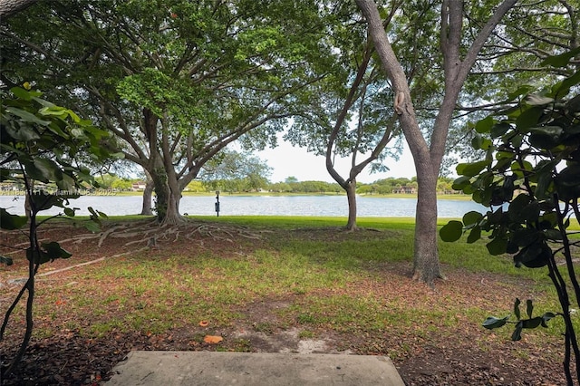 9723 Hammocks Blvd Unit 102, Miami, FL 33196 - view of yard with a water view