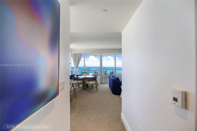 4401 Collins Ave Unit 3603, Miami Beach, FL 33140 - photo 8