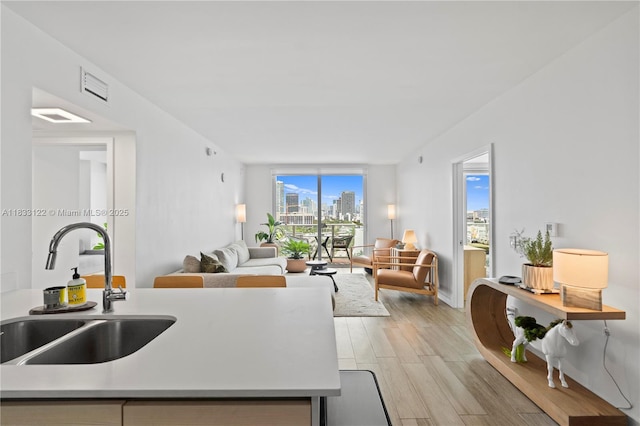 4250 Biscayne Blvd Unit 1218, Miami, FL 33137 - living room featuring light wood-type flooring and a view of skyline