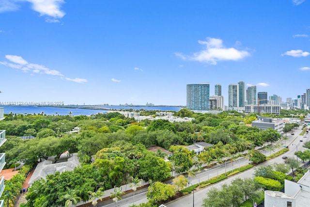 4250 Biscayne Blvd Unit 1218, Miami, FL 33137 - bird's eye view of skyline and a nearby body of water