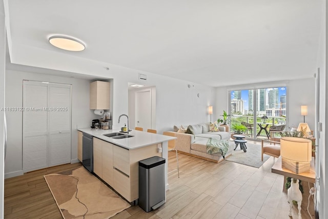 4250 Biscayne Blvd Unit 1218, Miami, FL 33137 - kitchen featuring dishwasher, open floor plan, light countertops, a peninsula, and light wood-style floors