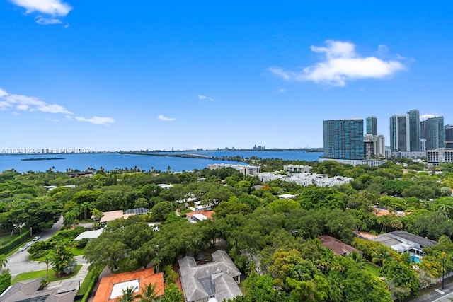 4250 Biscayne Blvd Unit 1218, Miami, FL 33137 - drone / aerial view of a large body of water and skyline