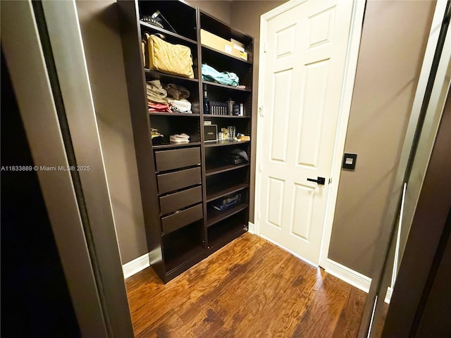 153 Apalachee Ln, Jupiter, FL 33458 - walk in closet featuring dark wood-style flooring