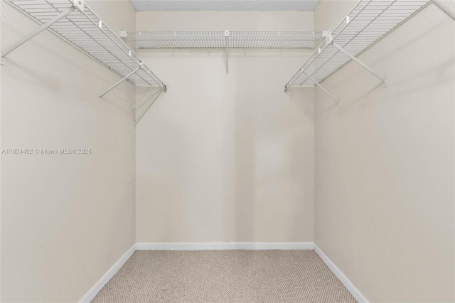 251 SW 132nd Way Unit 201H, Pembroke Pines, FL 33027 - spacious closet featuring carpet