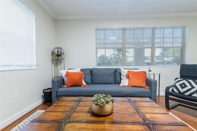 2270 Havana Dr, Miramar, FL 33023 - living area featuring wood finished floors, crown molding, and plenty of natural light