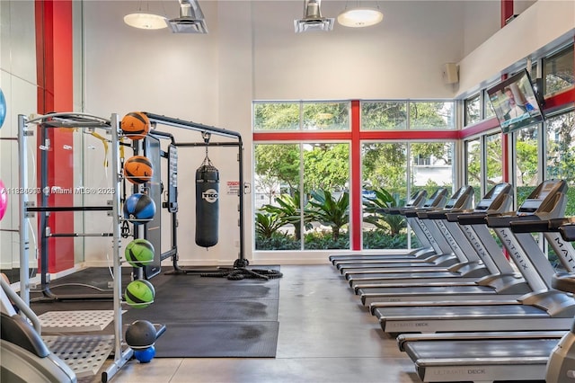 680 NE 64th St Unit A501, Miami, FL 33138 - exercise room featuring a towering ceiling and plenty of natural light