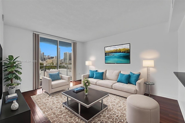 275 NE 18th St Unit 706, Miami, FL 33132 - living room featuring wood finished floors and a city view