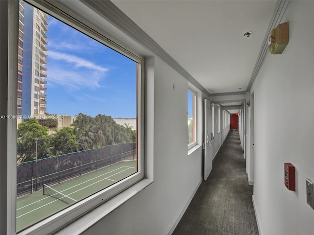 1627 Brickell Ave Unit 605, Miami, FL 33129 - hall featuring ornamental molding and carpet floors