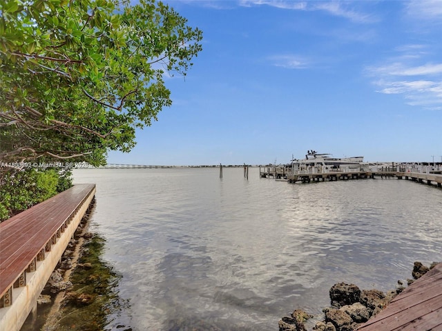 1627 Brickell Ave Unit 605, Miami, FL 33129 - dock area featuring a water view