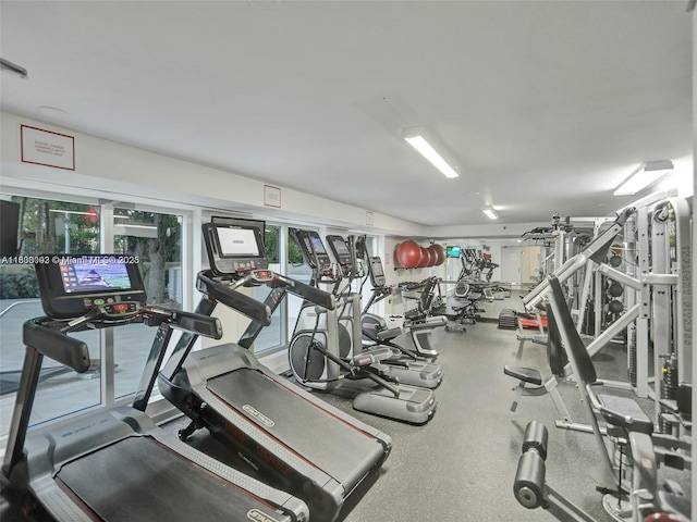 1627 Brickell Ave Unit 605, Miami, FL 33129 - gym with healthy amount of natural light