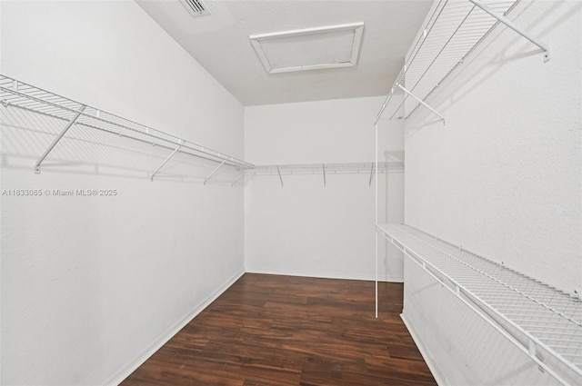 2456 SE 19th Ct, Homestead, FL 33035 - walk in closet featuring attic access and wood finished floors