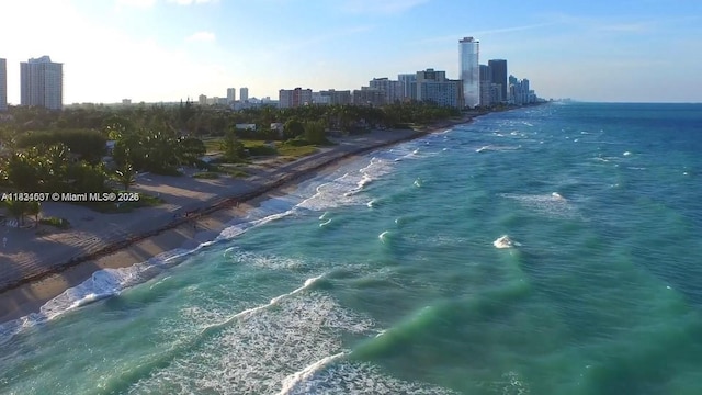 3180 S Ocean Dr Unit 1602, Hallandale Beach, FL 33009 - water view with local beach and skyline