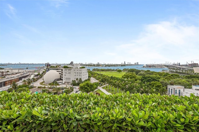 1040 Biscayne Blvd Unit 2108, Miami, FL 33132 - water view with a notable bridge and nearby urban area