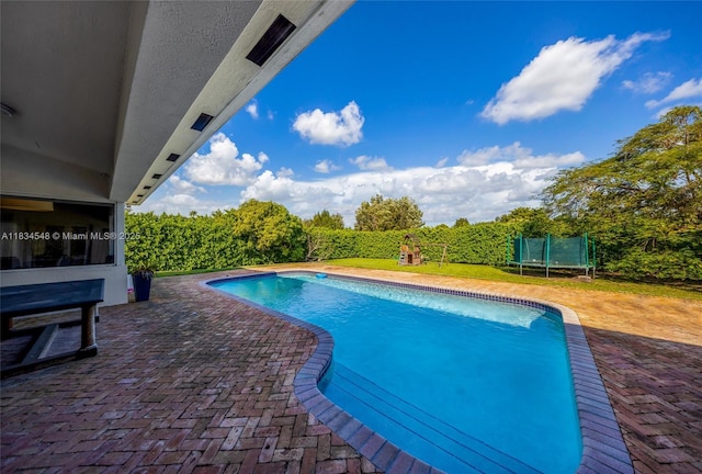 16701 SW 49th St, Southwest Ranches, FL 33331 - view of swimming pool with a trampoline and a patio