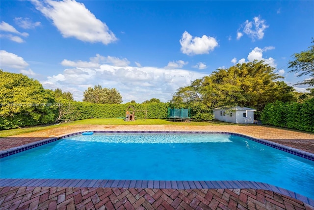 16701 SW 49th St, Southwest Ranches, FL 33331 - swimming pool featuring a trampoline, a lawn, and a storage unit