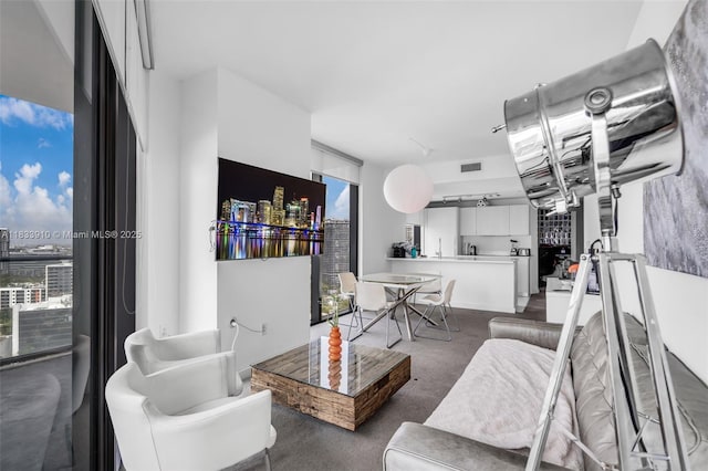 501 NE 31st St Unit 2308, Miami, FL 33137 - view of carpeted living area