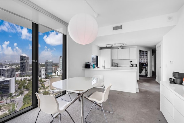 501 NE 31st St Unit 2308, Miami, FL 33137 - dining room with rail lighting, expansive windows, carpet flooring, and a city view