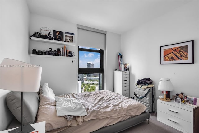 501 NE 31st St Unit 2308, Miami, FL 33137 - bedroom with carpet floors