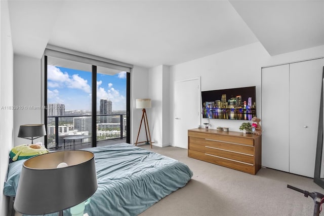 501 NE 31st St Unit 2308, Miami, FL 33137 - bedroom with carpet floors and floor to ceiling windows