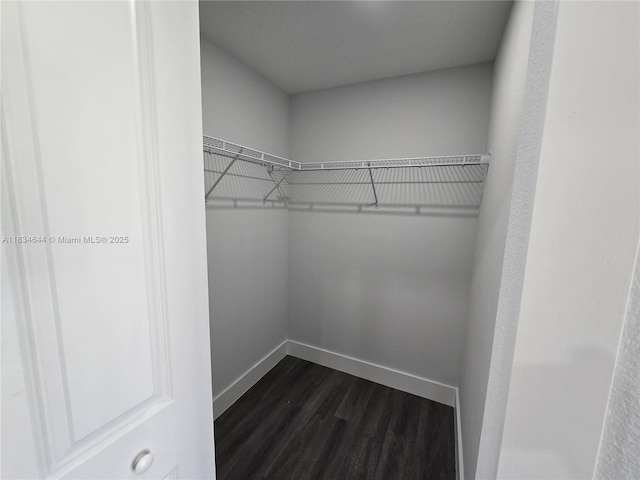 1605 W 11th St, Lehigh Acres, FL 33971 - spacious closet with dark wood-type flooring