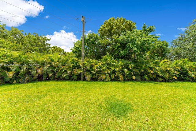8220 SW 193rd Ter, Cutler Bay, FL 33157 - view of grassy yard