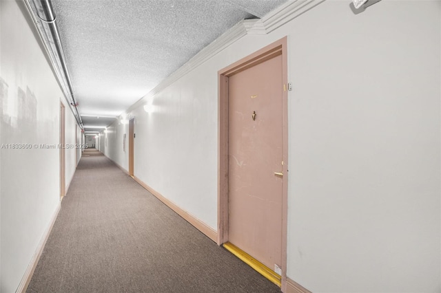 9310 Fontainebleau Blvd Unit 203, Miami, FL 33172 - corridor featuring a textured ceiling, ornamental molding, and light carpet