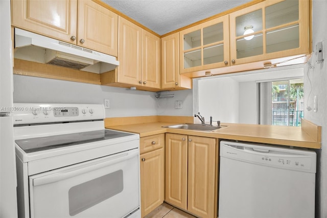 9310 Fontainebleau Blvd Unit 203, Miami, FL 33172 - kitchen featuring white appliances, under cabinet range hood, light brown cabinets, glass insert cabinets, and a textured ceiling