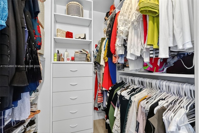 2036 SW 159th Ave, Miramar, FL 33027 - walk in closet featuring wood finished floors