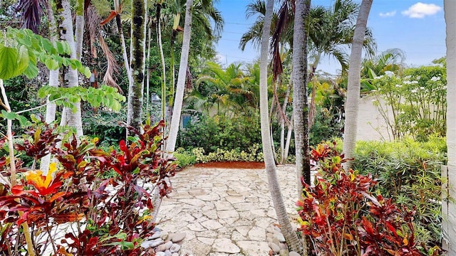 1111 Columbus Blvd, Coral Gables, FL 33134 - view of patio