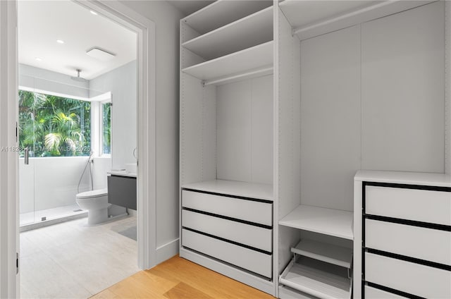 45 NE 104th St, Miami Shores, FL 33138 - view of closet