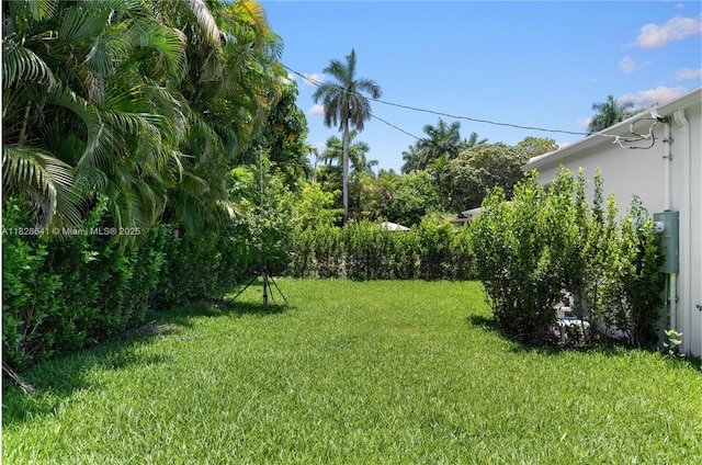 45 NE 104th St, Miami Shores, FL 33138 - view of grassy yard