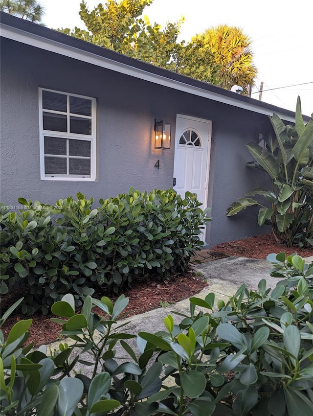 doorway to property featuring stucco siding