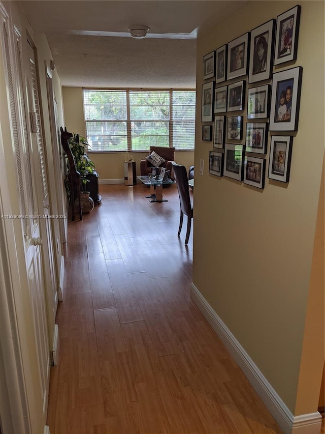 900 Saint Charles Pl Unit L6, Pembroke Pines, FL 33026 - hall with wood finished floors and healthy amount of natural light