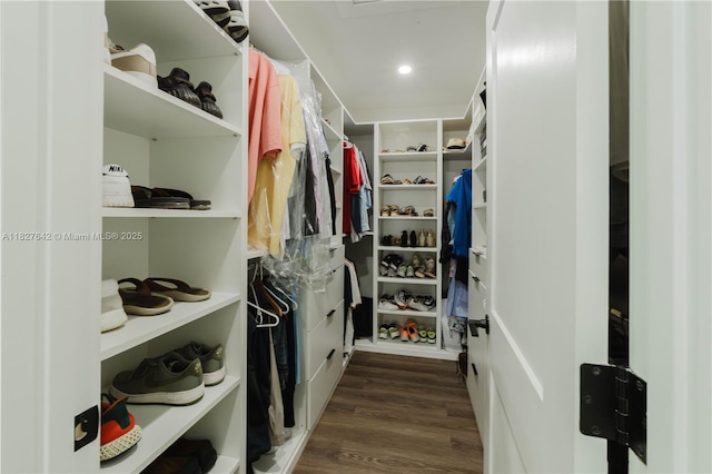 9471 SW 10th St, Miami, FL 33174 - walk in closet with wood finished floors