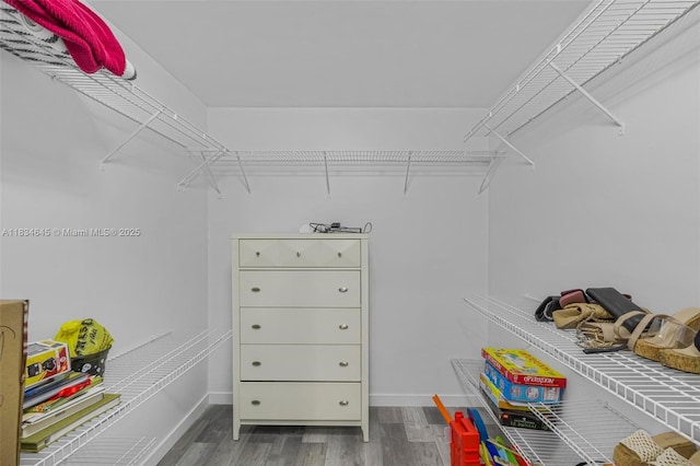 11955 SW 18th Ter Unit 9, Miami, FL 33175 - spacious closet featuring wood finished floors