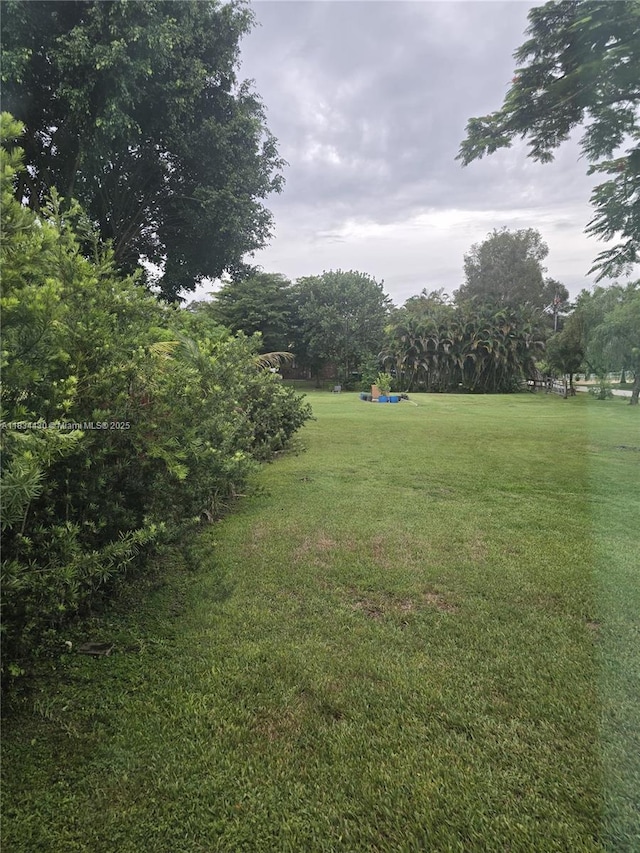 view of grassy yard