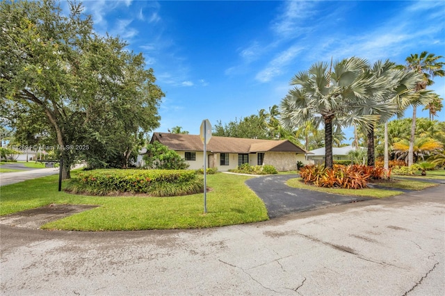 7804 SW 178th Ter, Palmetto Bay, FL 33157 - ranch-style house with driveway and a front lawn