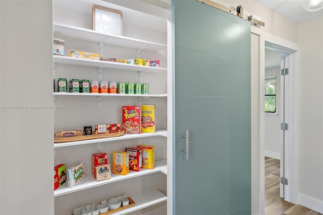 7264 159th Ct N, Palm Beach Gardens, FL 33418 - view of pantry