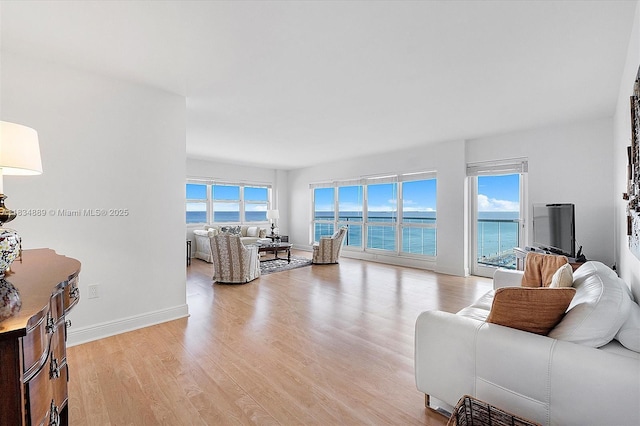 3400 Galt Ocean Dr Unit 702S, Fort Lauderdale, FL 33308 - living area with light wood finished floors