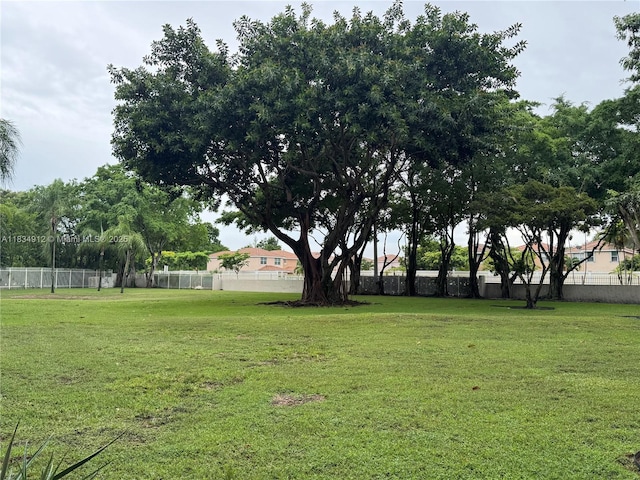 3910 Inverrary Blvd Unit 603-B, Lauderhill, FL 33319 - view of yard