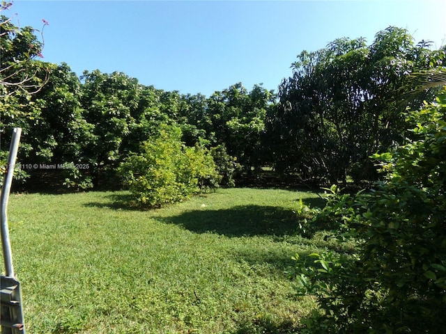 23501 SW 197th Ave, Homestead, FL 33031 - photo 7